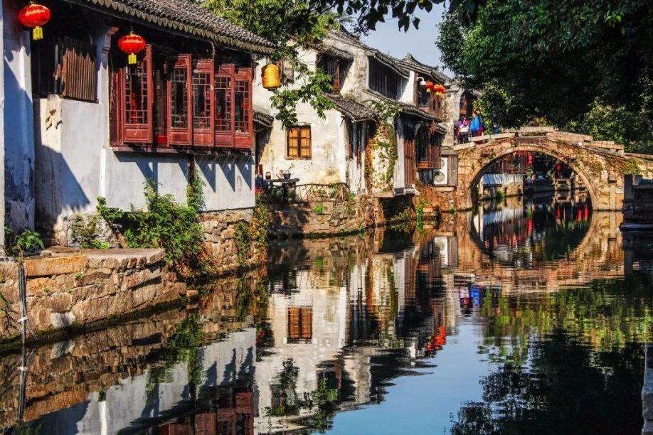新书速递|《达尔文的化石》:揭秘达尔文的化石采集之旅,了解“进化论”和《物种起源》的诞生!